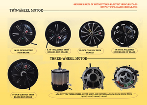 Electric Vehicle Motor